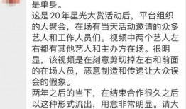 王大锤爆料预告视频大全,揭秘幕后故事与精彩瞬间