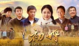 初婚电视剧全集在线观看,重温青春岁月，共度甜蜜爱情时光