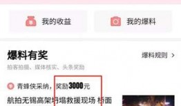 如皋头条今日爆料,揭秘某重大事件背后真相！