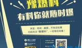 豫道最新爆料,揭秘神秘事件背后真相