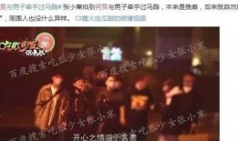 娱乐圈直播爆料王导,王导的传奇故事