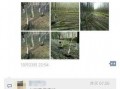 长春保卫团最新爆料,揭秘战地幕后英雄壮举