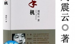 在年代文里吃瓜全文免费阅读小说,吃瓜全文免费阅读，揭秘民国风云