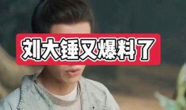 刘大锤爆料歌手是谁呀视频,热门视频“爆料歌手”身份大揭秘
