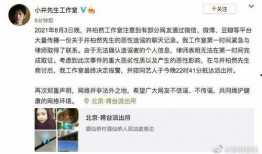 韩圈爆料挖料事件视频,视频内容深度解析