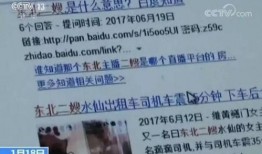 东北二嫂车震在线观看,揭秘网络热传视频背后的真相