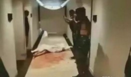 巴厘岛遇害情侣爆料视频,视频揭露惊人细节，真相令人震惊